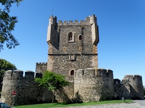 merli, castello, albero, torre, verde, finestre, mura, cielo, fortezza, torri, pianta