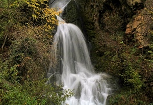 acqua, cascata, verde, alberi, roccia, arbusti, rocce, bosco