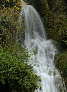 acqua, cascata, verde, piante, alberi, rami, bianco, foglie, natura, torrente, rocce