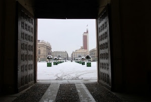 neve, piazza, portone, bianco, porta, piante, inverno, alberi, torino