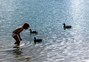 acqua, anatre, bambino, azzurro, tre, bambina, lago, mare, papere, oche, riflesso, fiume, riflessi, gioco