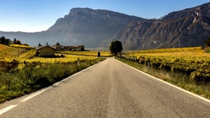 strada, montagne, cielo, giallo, albero, case, casa, alberi, asfalto, montagna, coltivazioni, azzurro, vigneti, paesaggio, erba, strade, verde, agricoltura, prospettiva, autunno, campi, paese, panorama, borgo